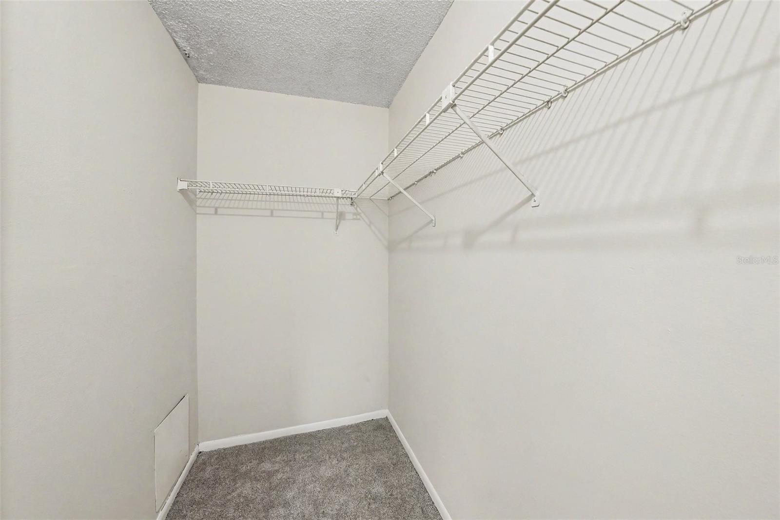 14319 HANGING MOSS CIR #101, TAMPA, FL, 33613