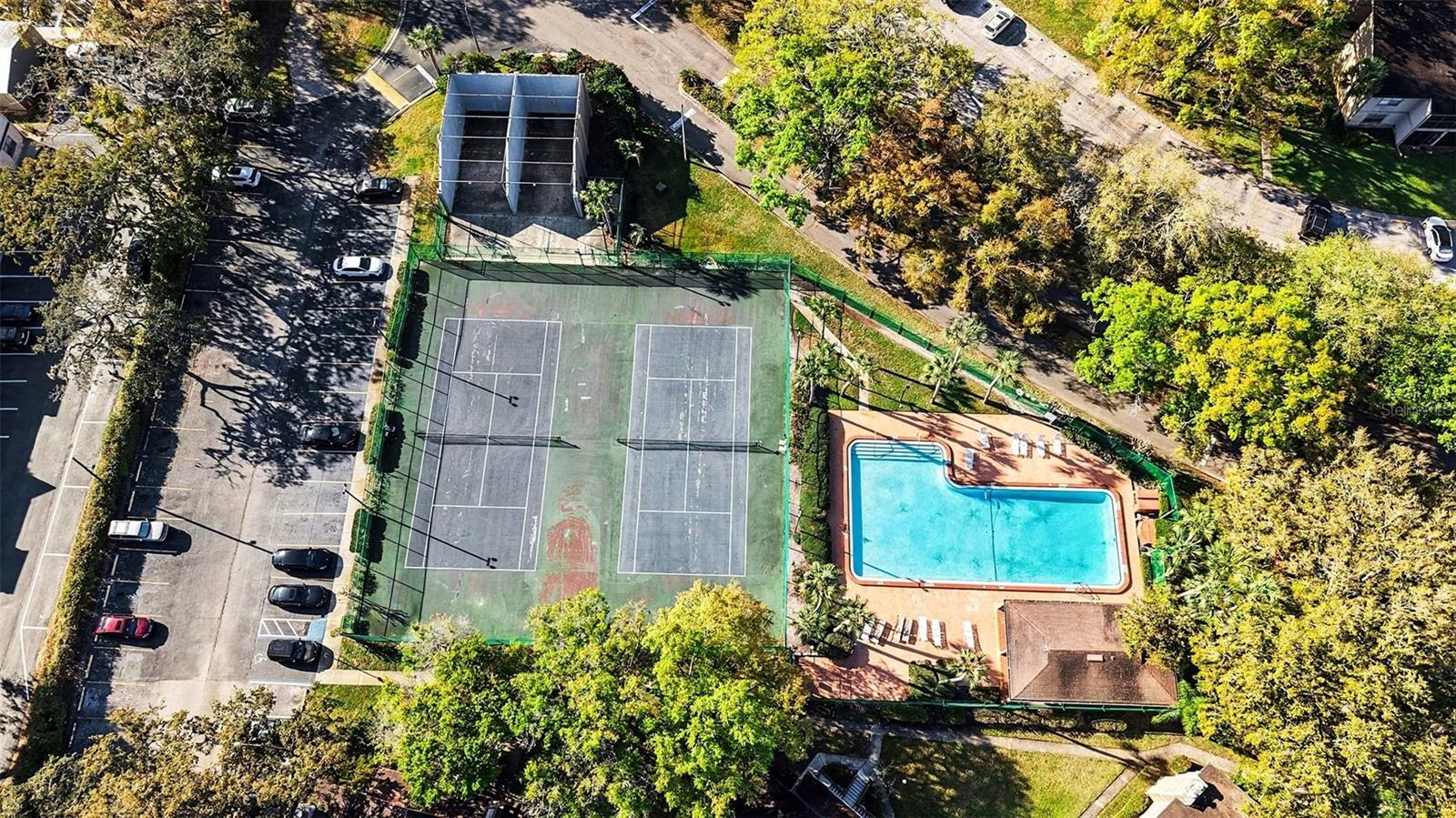 14319 HANGING MOSS CIR #101, TAMPA, FL, 33613