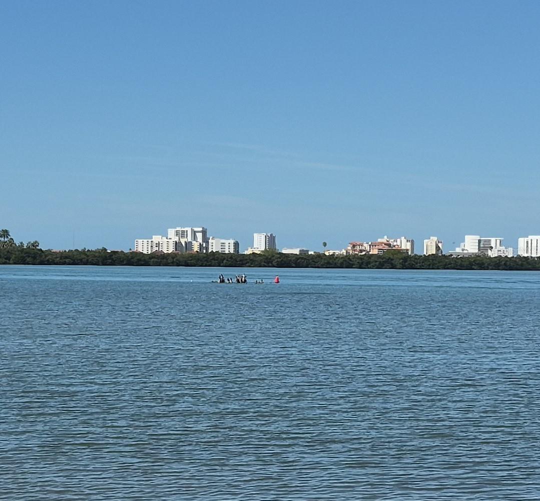 500 N OSCEOLA AVE #510, CLEARWATER, FL, 33755