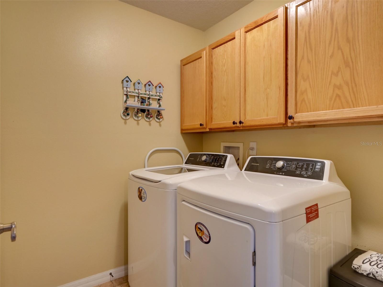 25134 CRANES ROOST CIR, LEESBURG, FL, 34748
