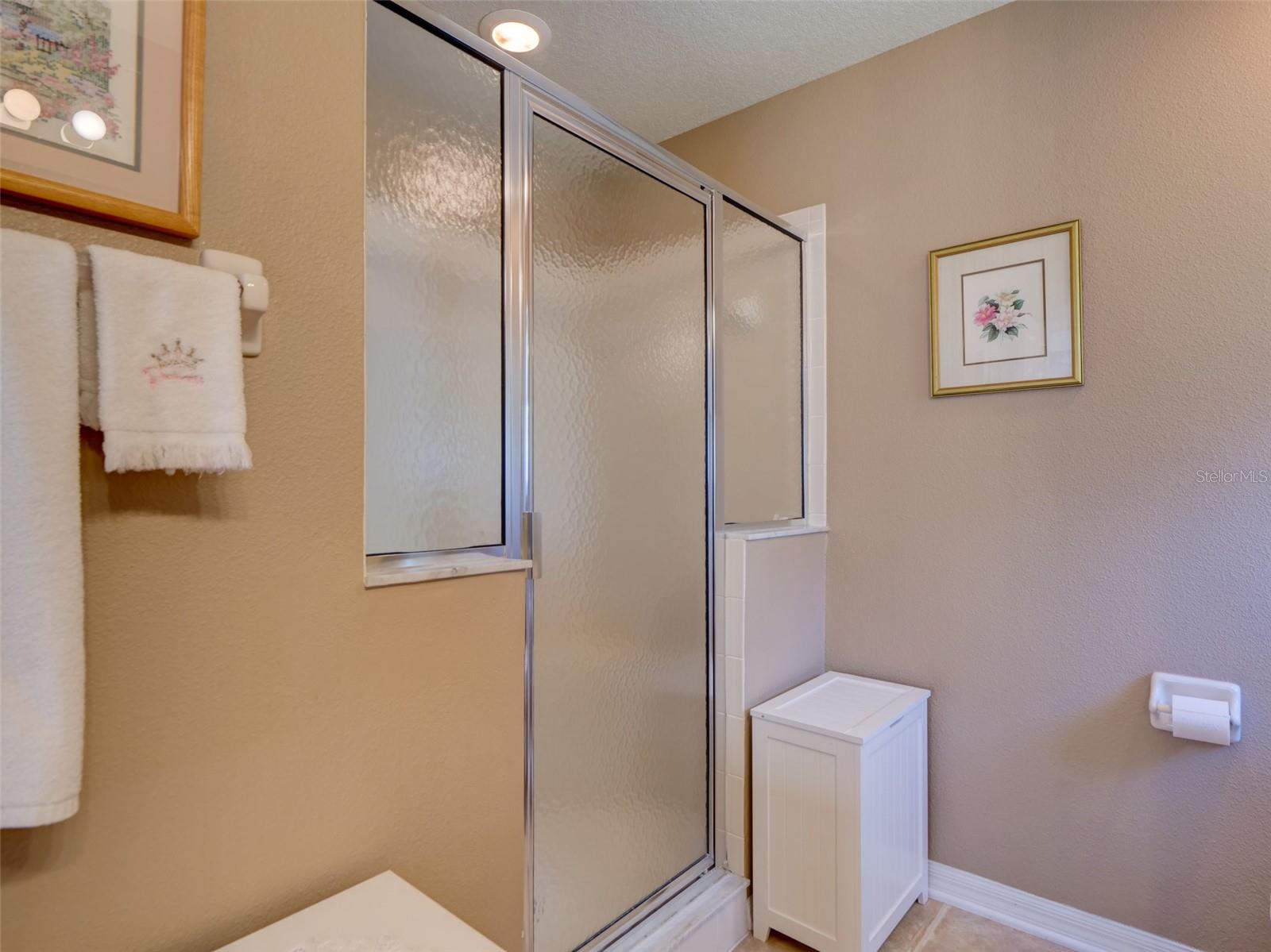 25134 CRANES ROOST CIR, LEESBURG, FL, 34748