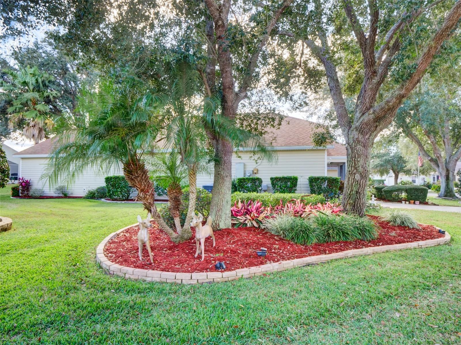 25134 CRANES ROOST CIR, LEESBURG, FL, 34748