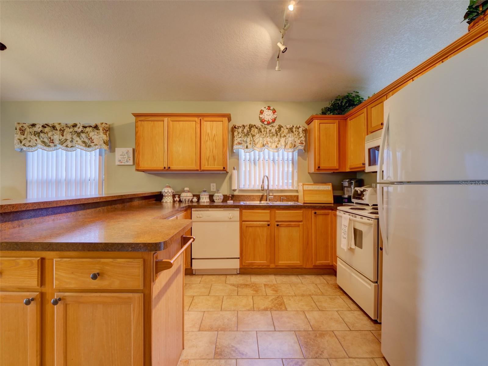 25134 CRANES ROOST CIR, LEESBURG, FL, 34748