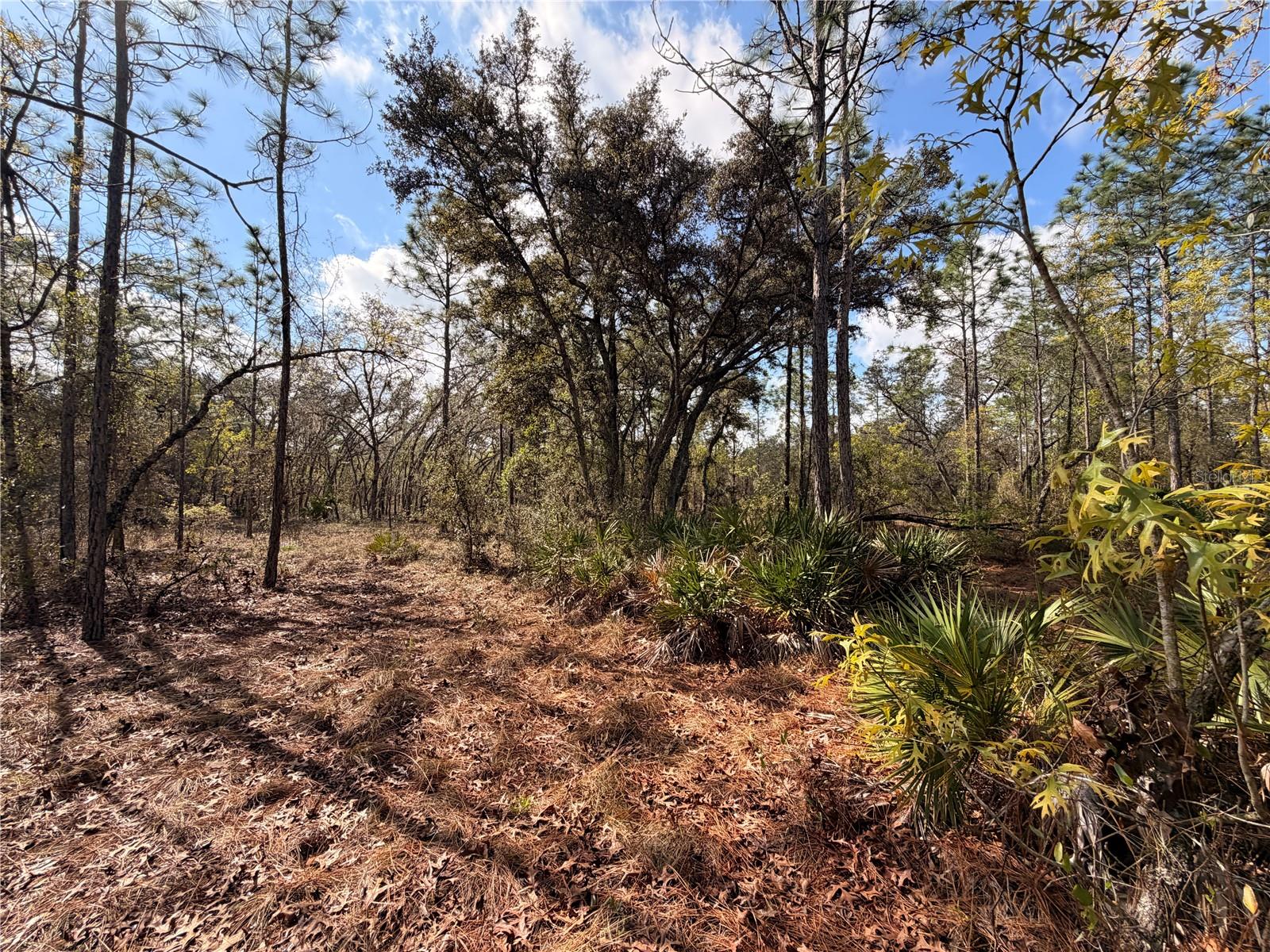 2 LINDER ST, HOMOSASSA, FL, 34446