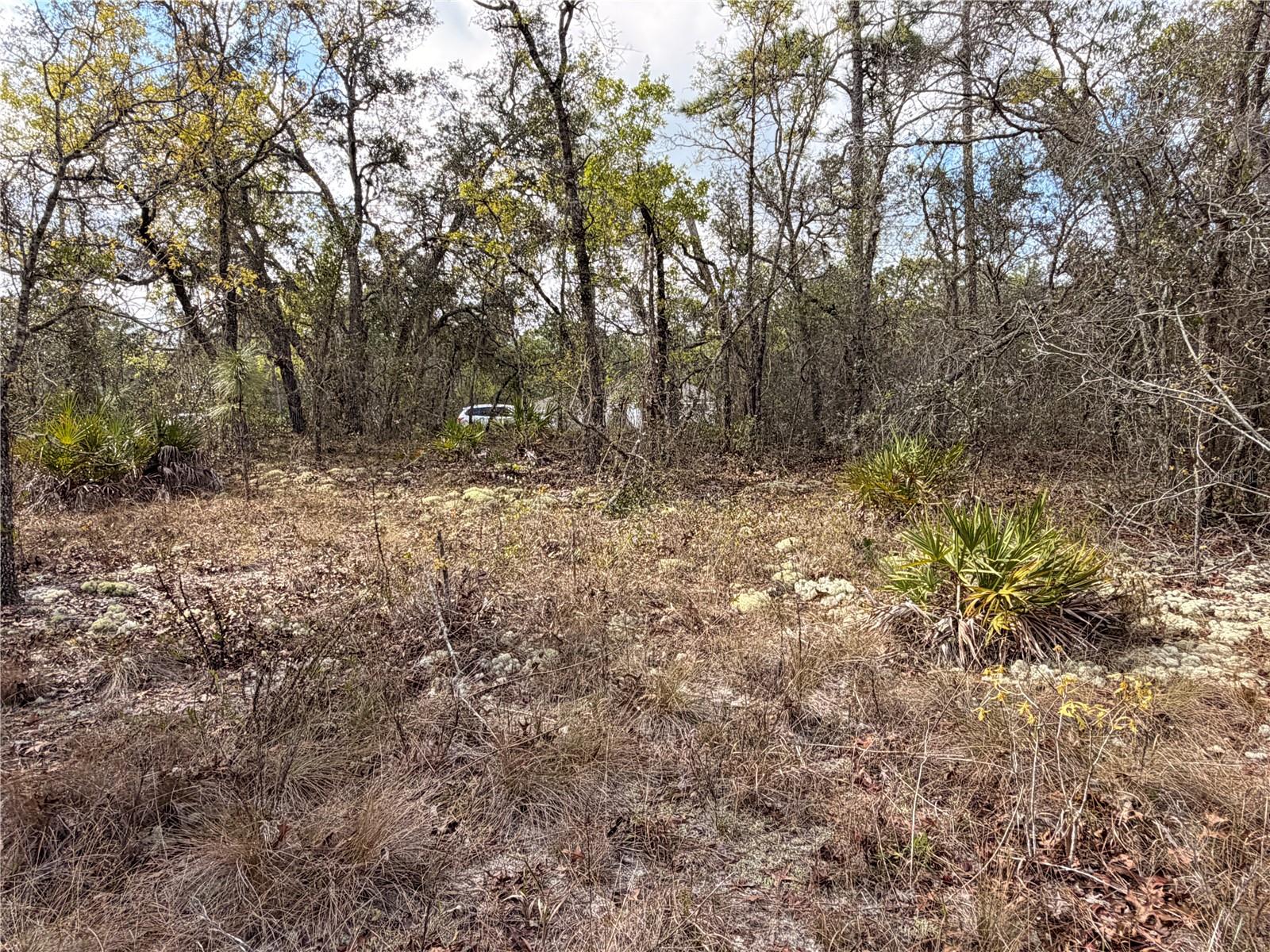 2 LINDER ST, HOMOSASSA, FL, 34446