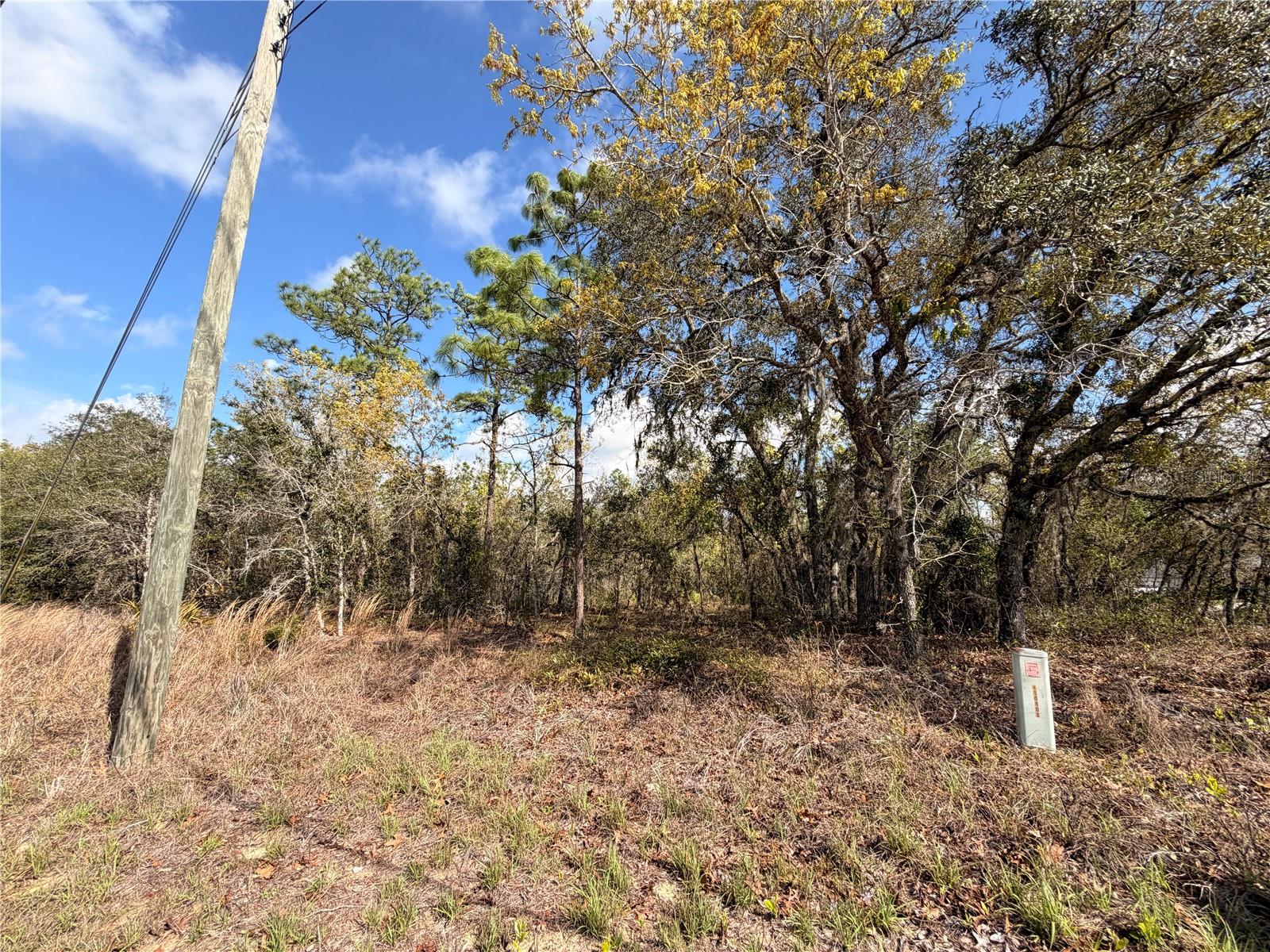 2 LINDER ST, HOMOSASSA, FL, 34446