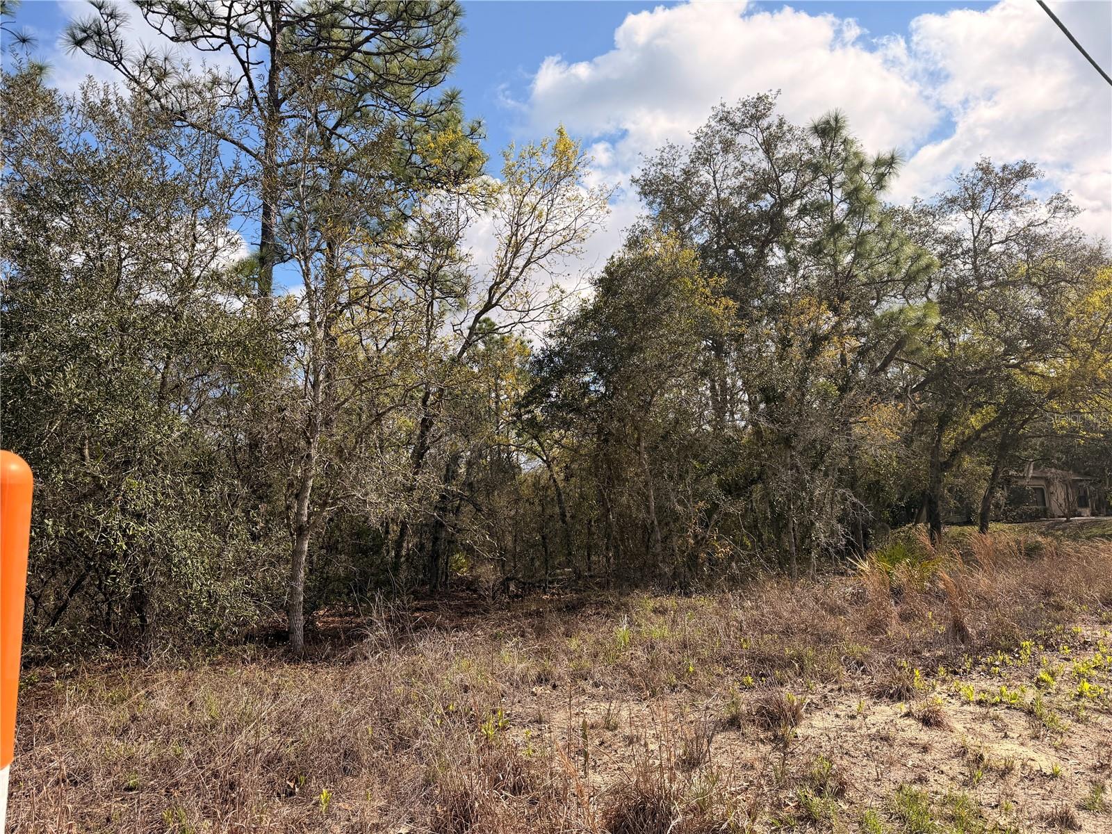 2 LINDER ST, HOMOSASSA, FL, 34446