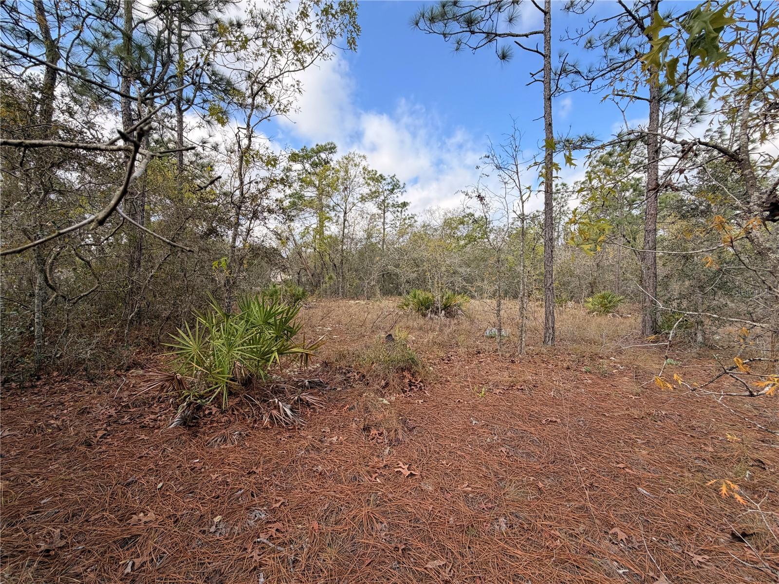 2 LINDER ST, HOMOSASSA, FL, 34446