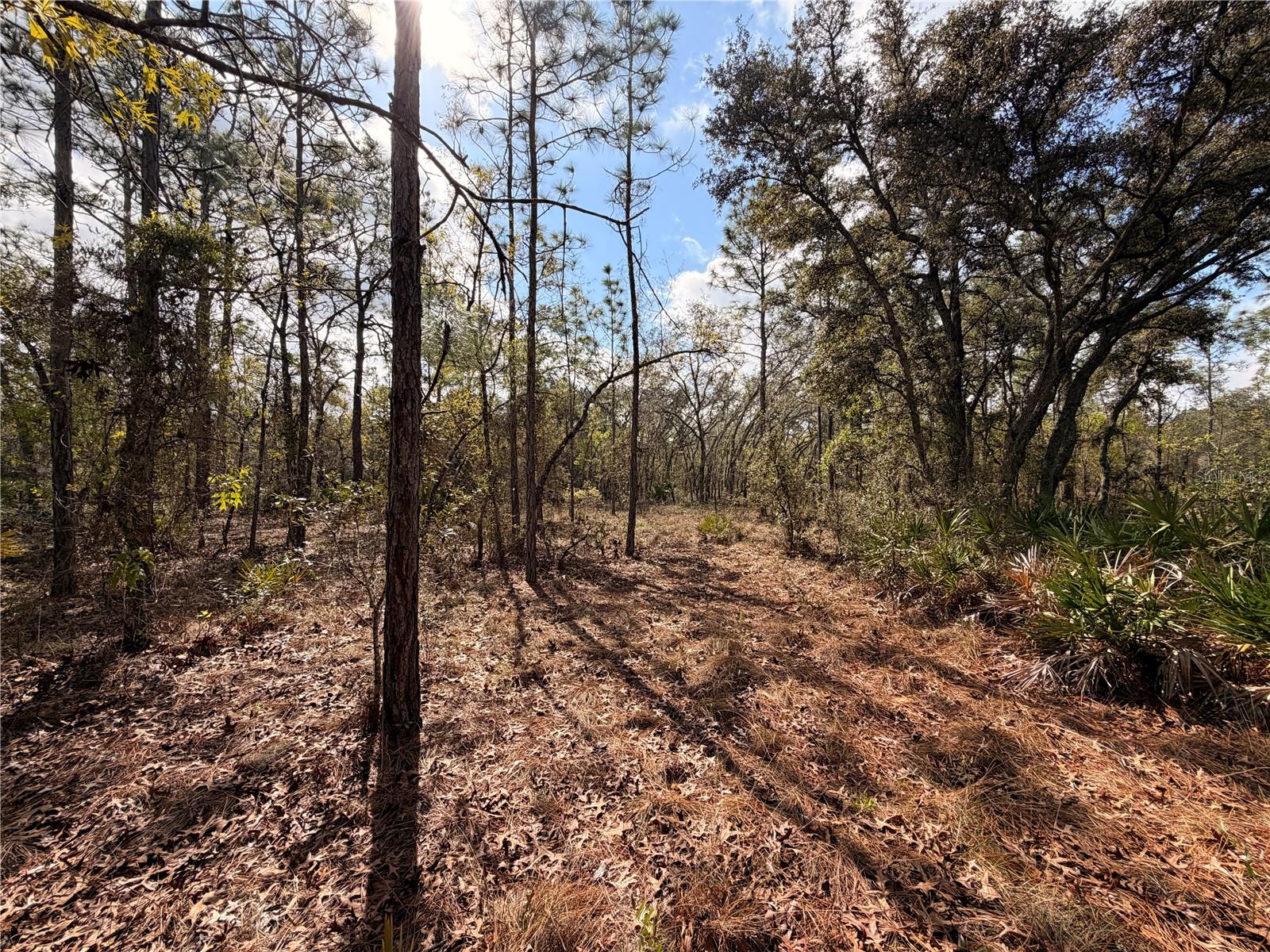 2 LINDER ST, HOMOSASSA, FL, 34446