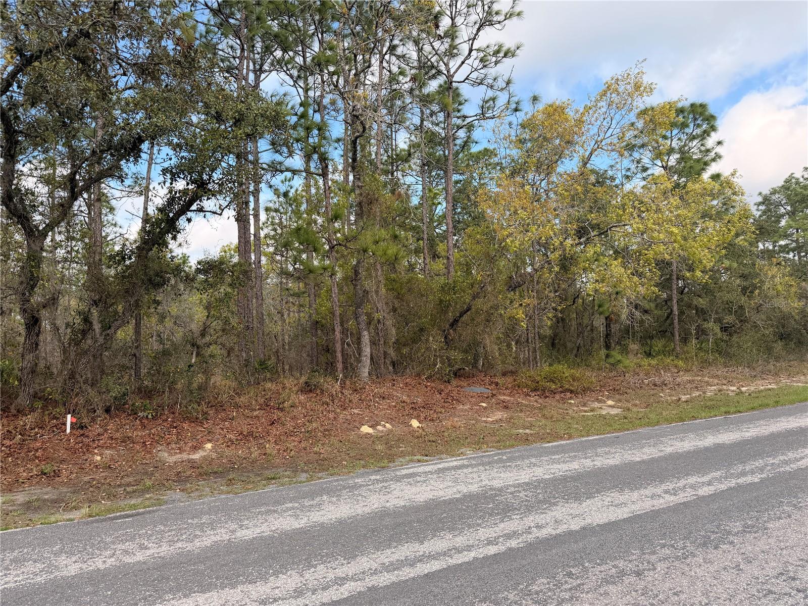 2 LINDER ST, HOMOSASSA, FL, 34446