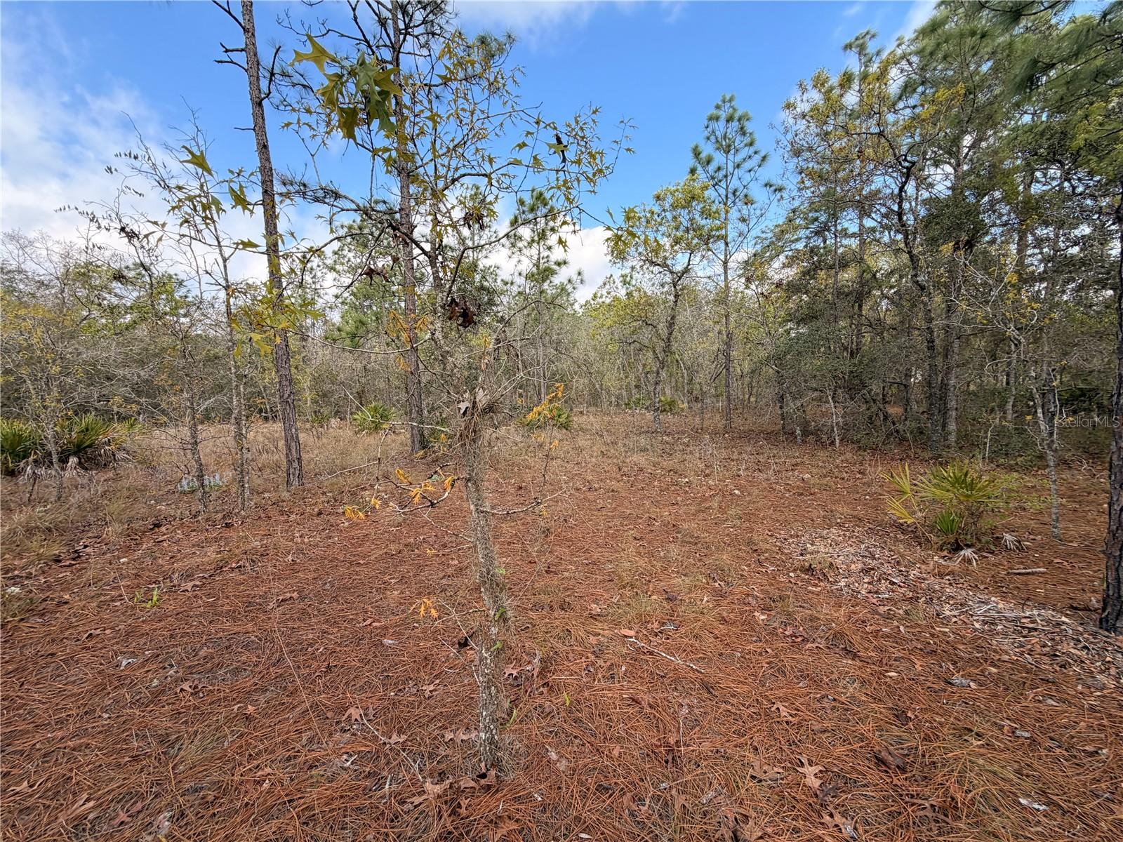 2 LINDER ST, HOMOSASSA, FL, 34446