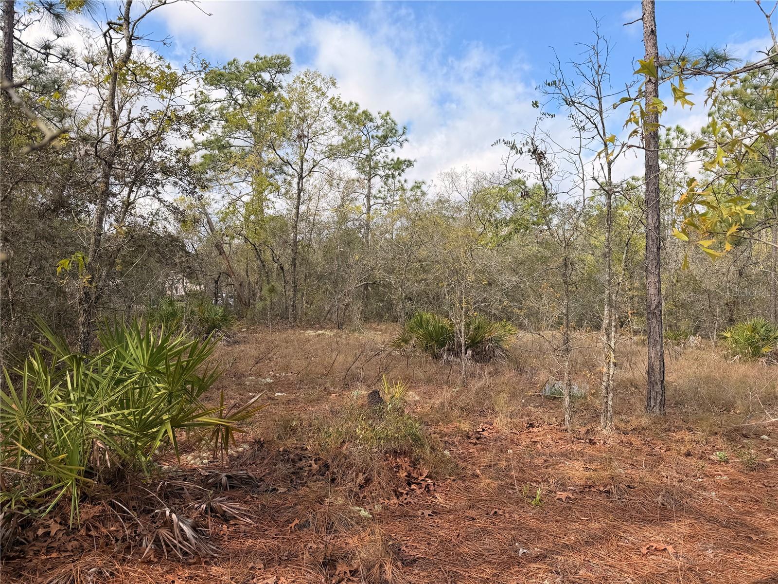 2 LINDER ST, HOMOSASSA, FL, 34446