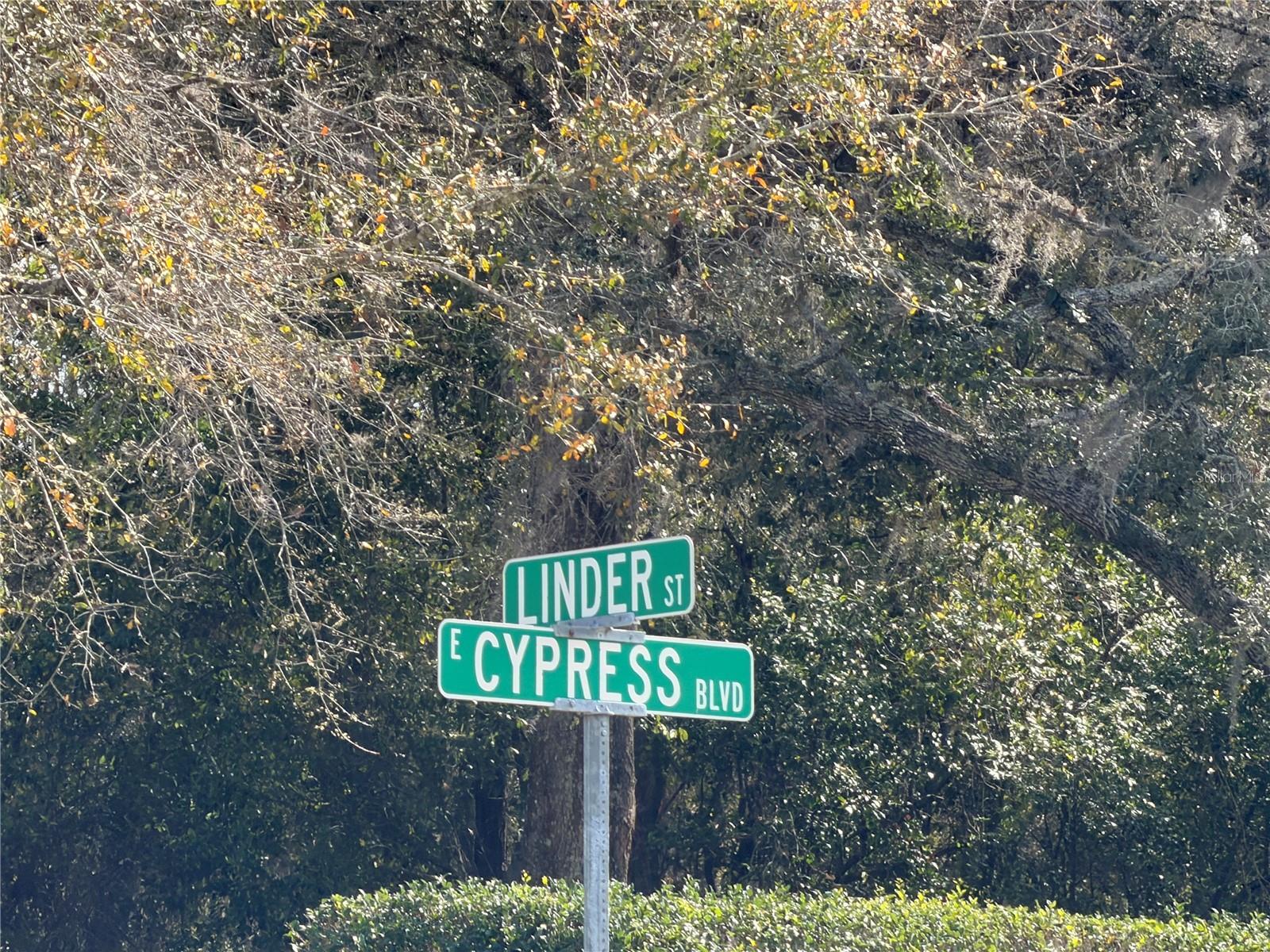 2 LINDER ST, HOMOSASSA, FL, 34446