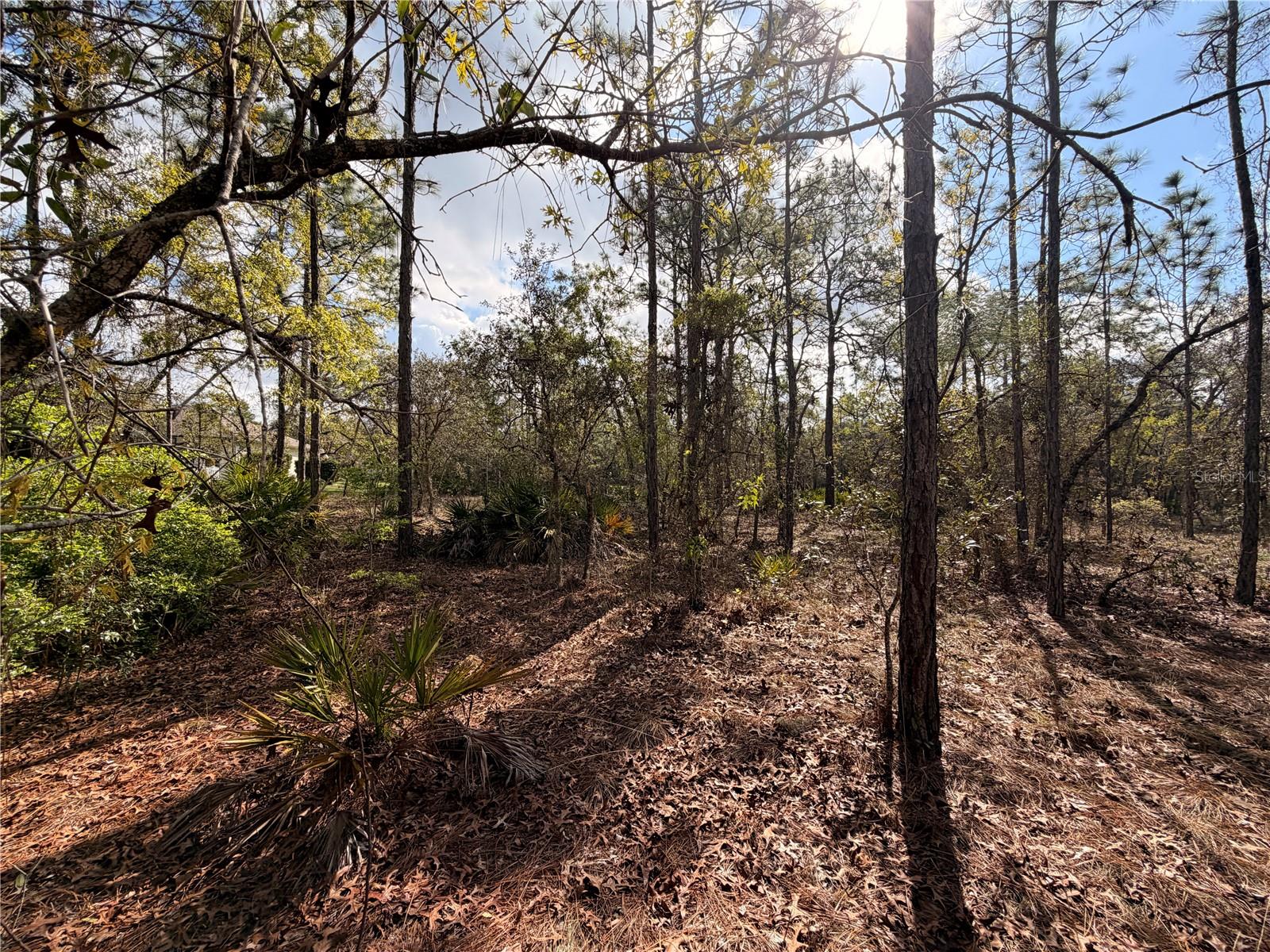 2 LINDER ST, HOMOSASSA, FL, 34446