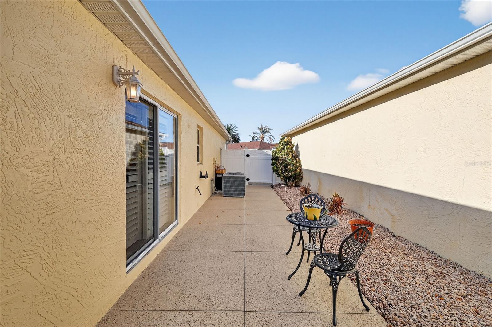 1107 PELION PL, THE VILLAGES, FL, 32162