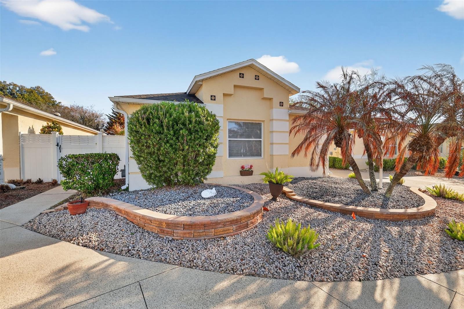 1107 PELION PL, THE VILLAGES, FL, 32162