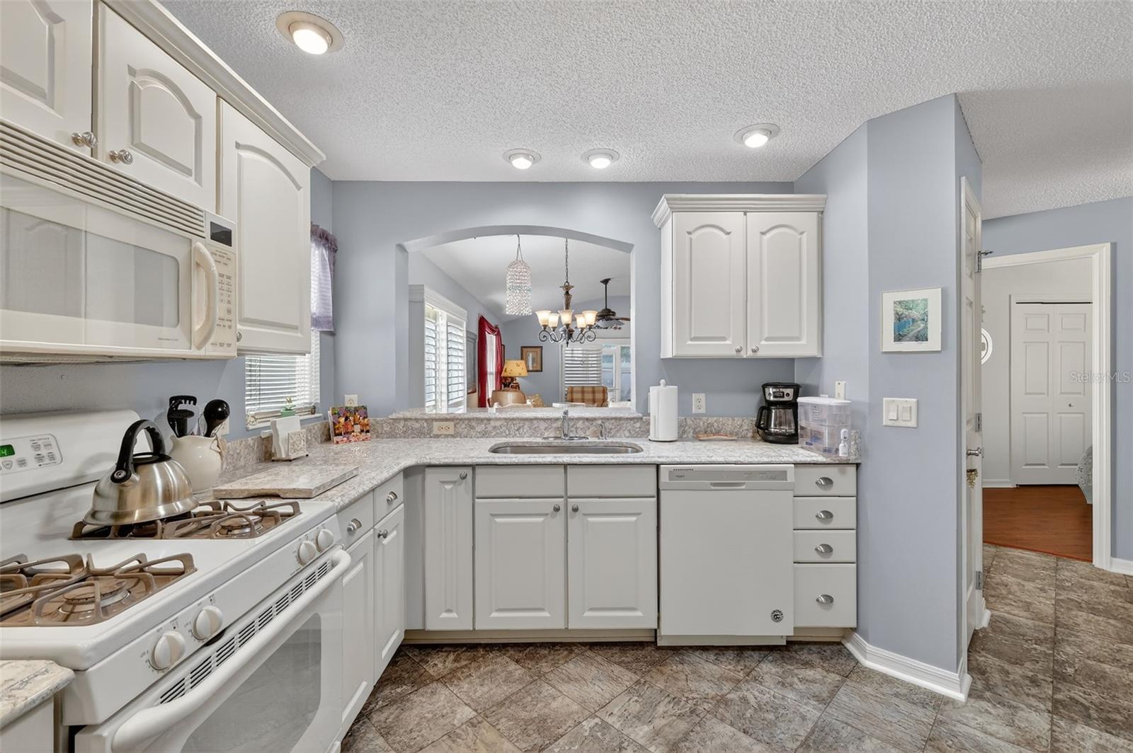 1107 PELION PL, THE VILLAGES, FL, 32162