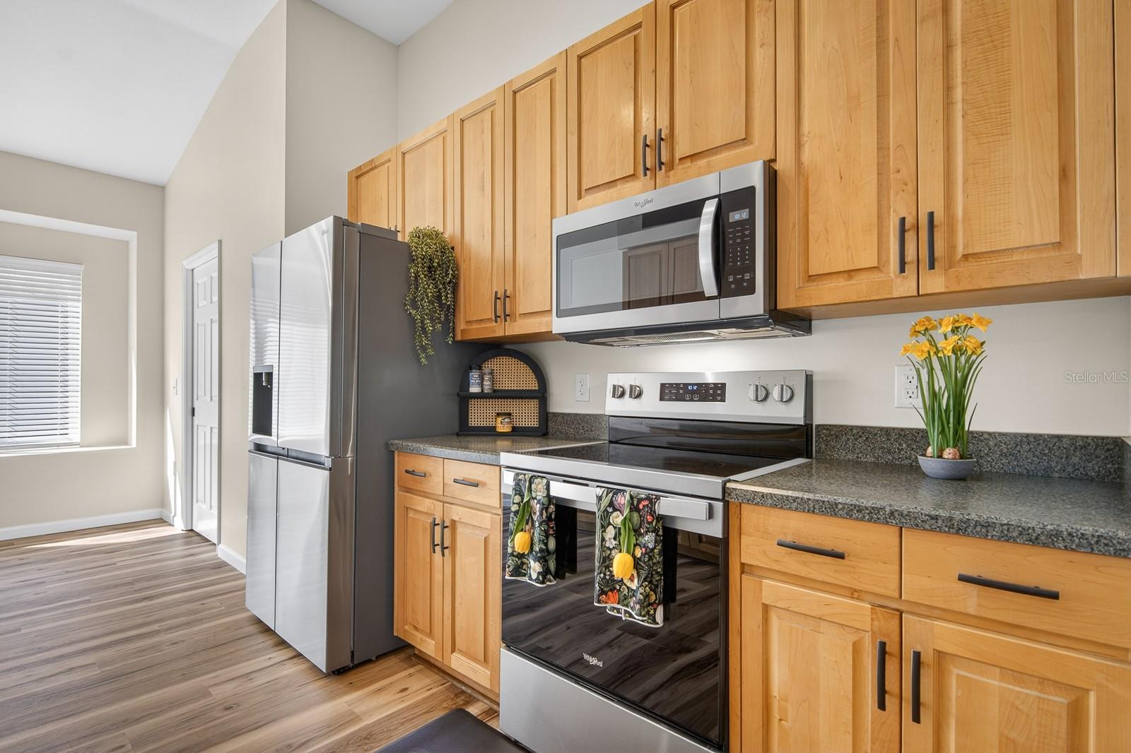 6002 MARTINGLADE PL, LITHIA, FL, 33547