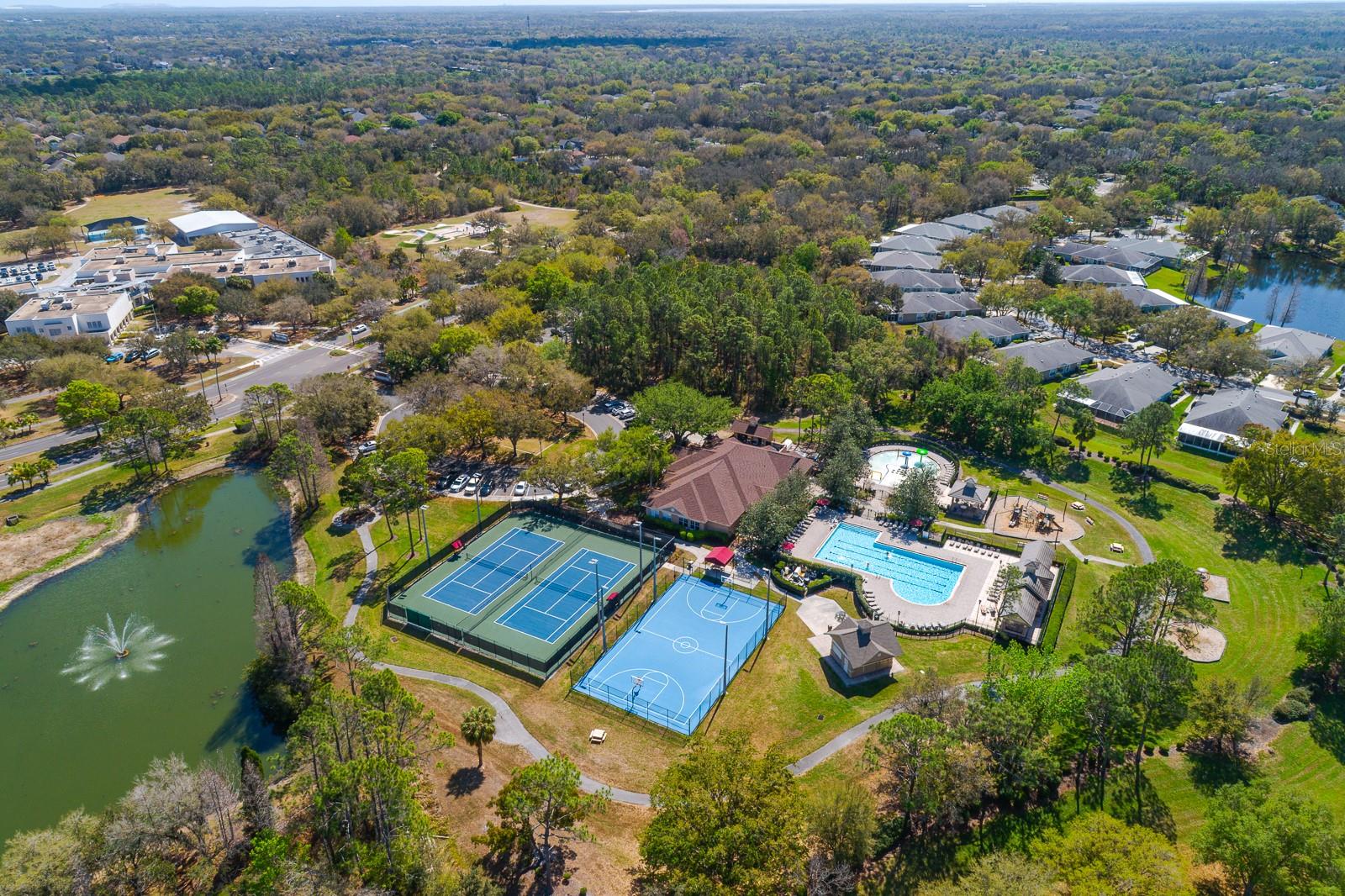 6002 MARTINGLADE PL, LITHIA, FL, 33547