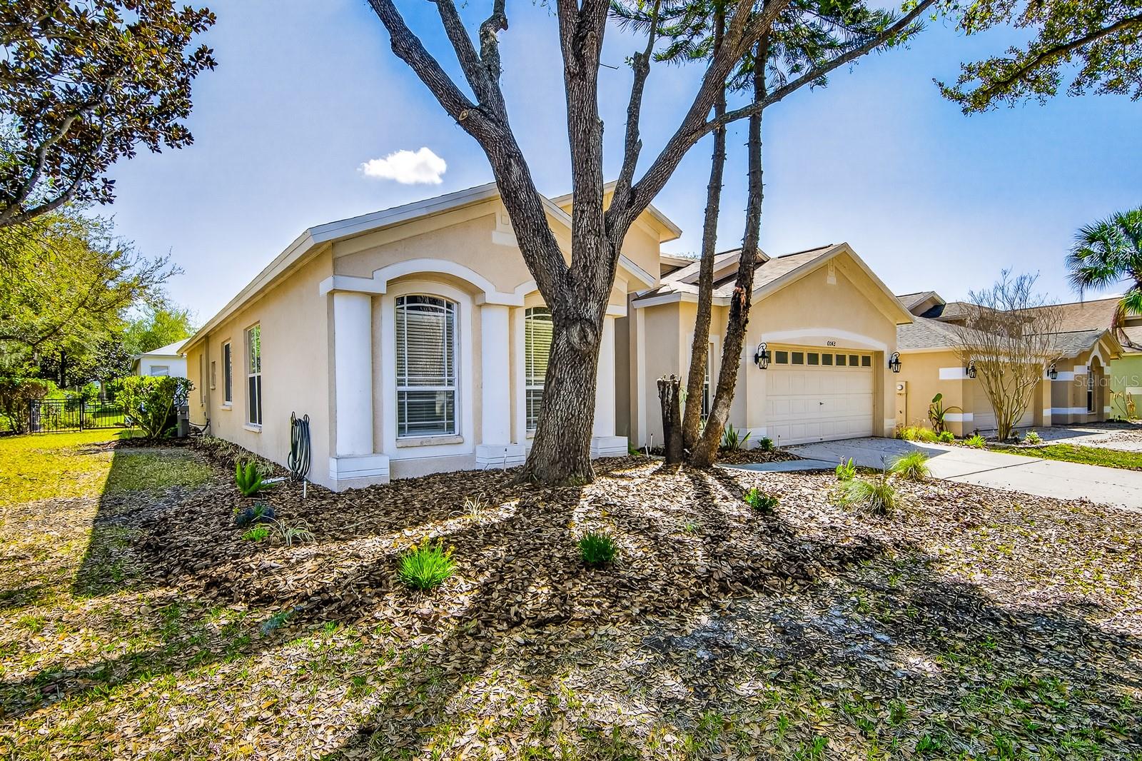 6002 MARTINGLADE PL, LITHIA, FL, 33547