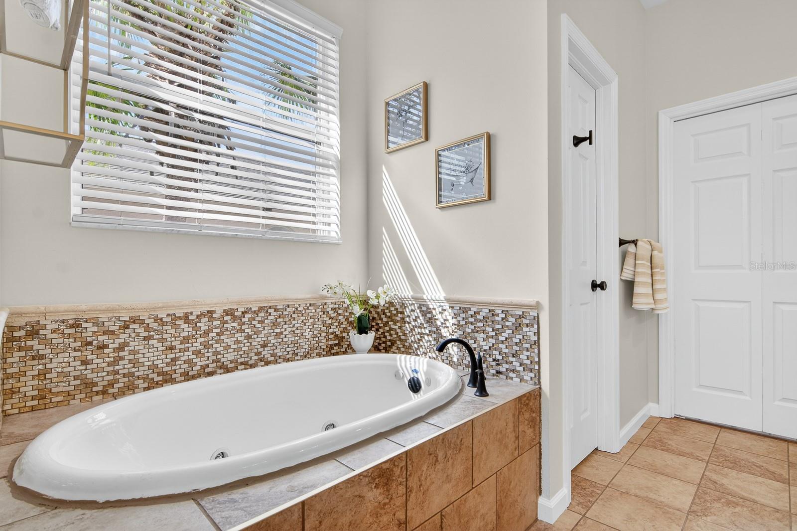 6002 MARTINGLADE PL, LITHIA, FL, 33547