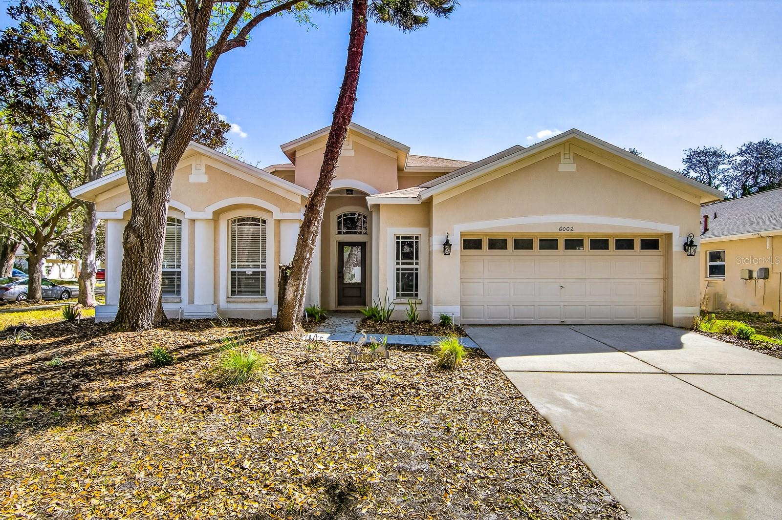6002 MARTINGLADE PL, LITHIA, FL, 33547