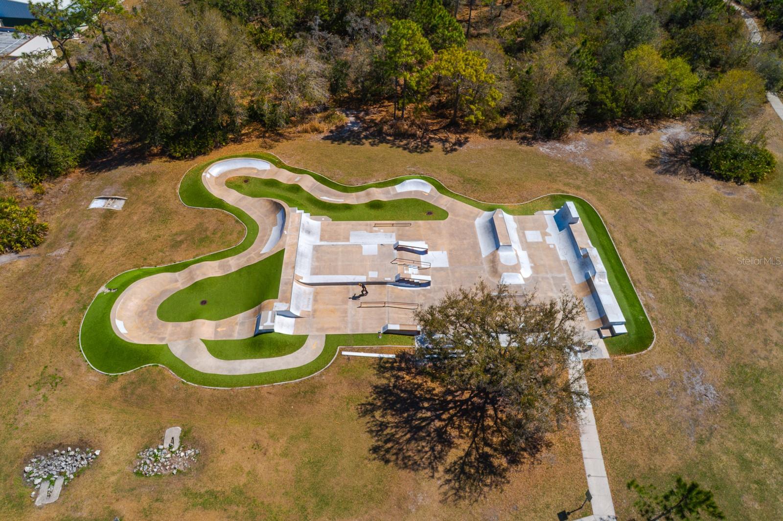 6002 MARTINGLADE PL, LITHIA, FL, 33547