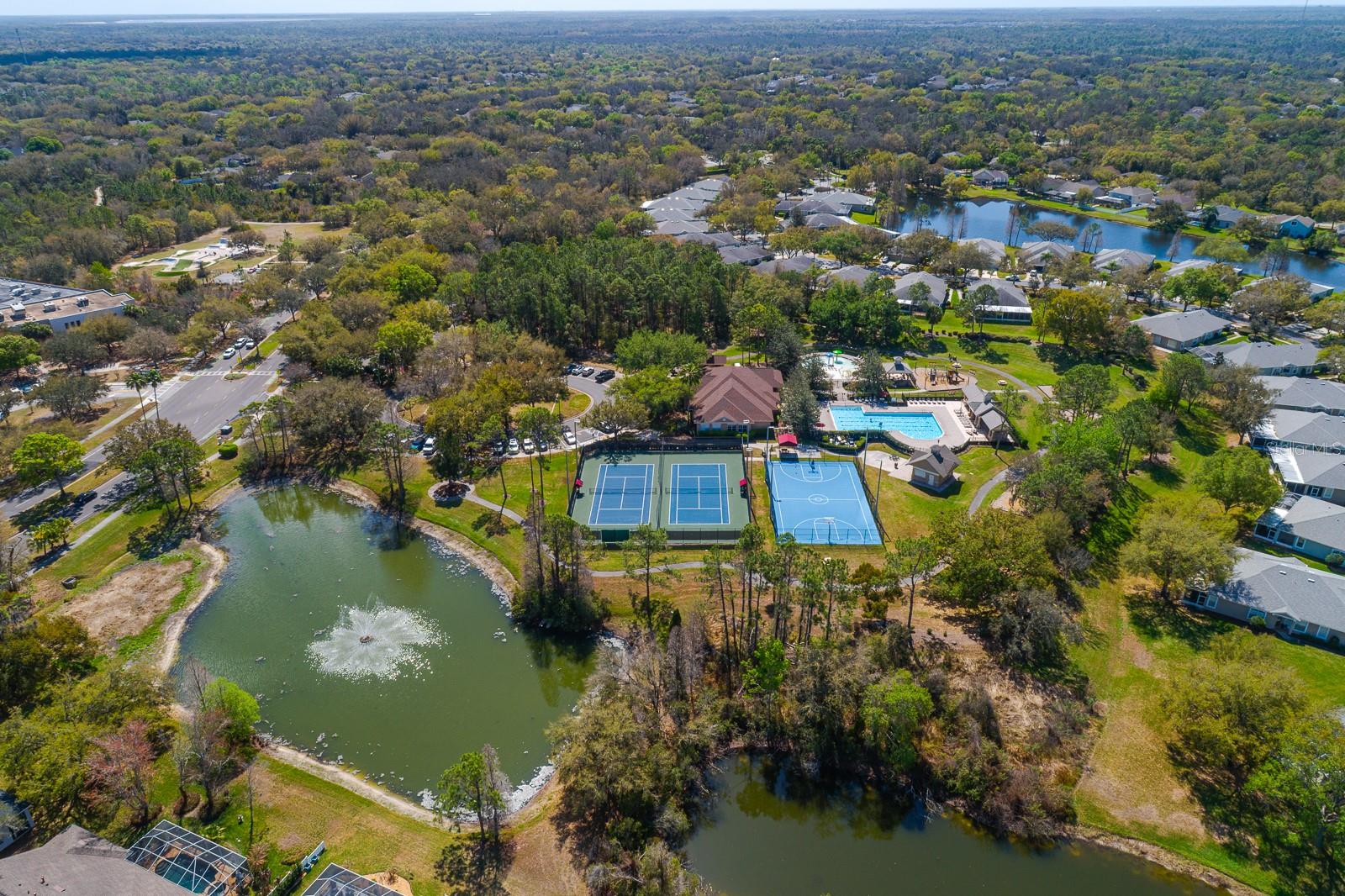 6002 MARTINGLADE PL, LITHIA, FL, 33547