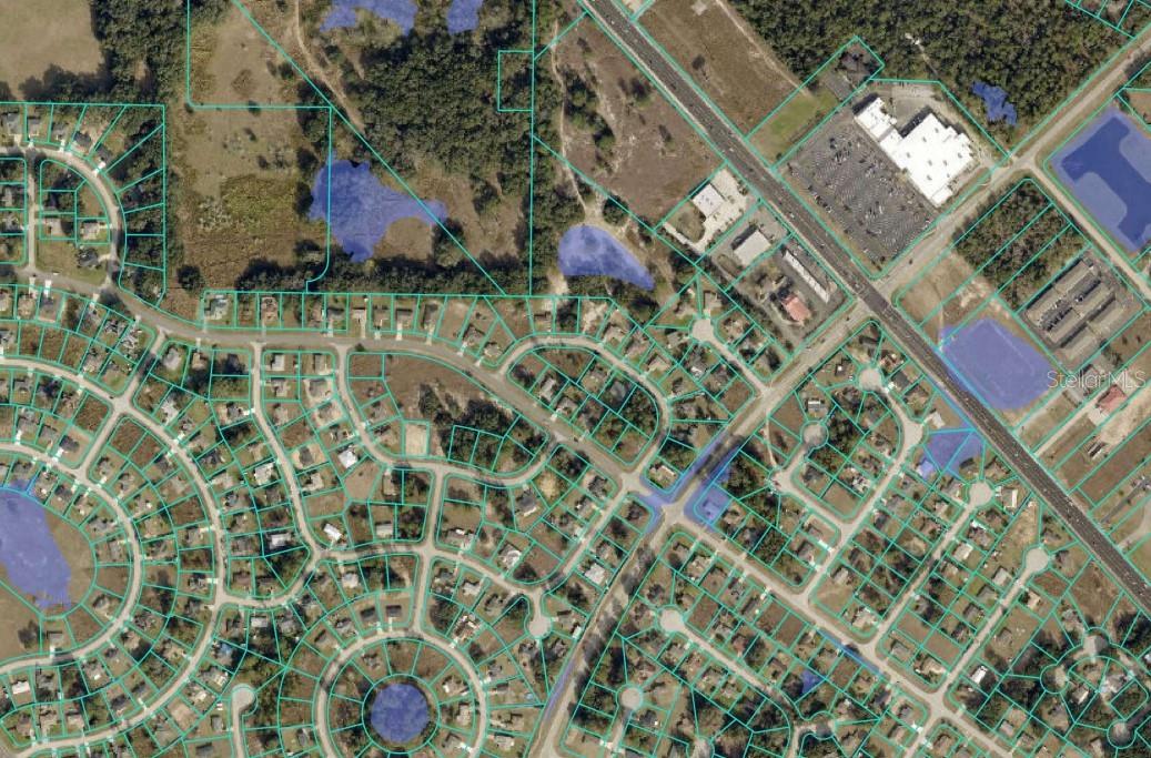 PINE TRACE LOOP, OCALA, FL, 34472