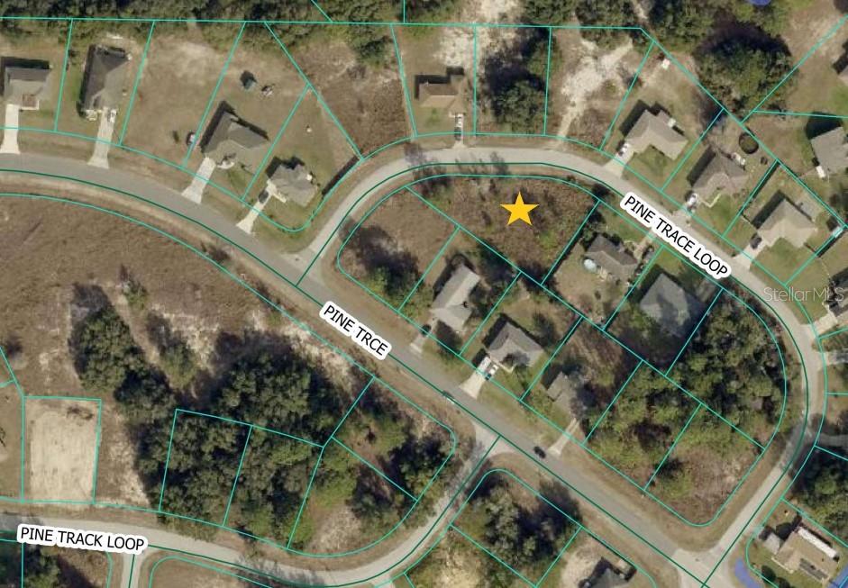 PINE TRACE LOOP, OCALA, FL, 34472