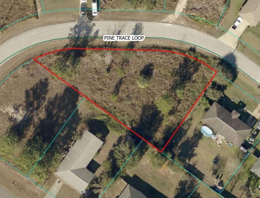 PINE TRACE LOOP, OCALA, FL, 34472