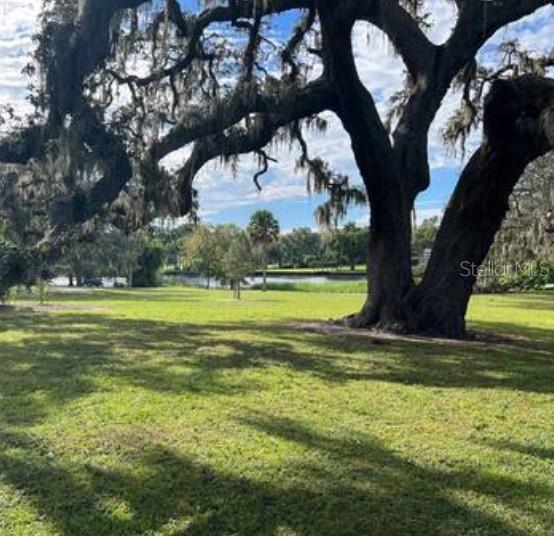 4702 N WILLIS ST, TAMPA, FL, 33603