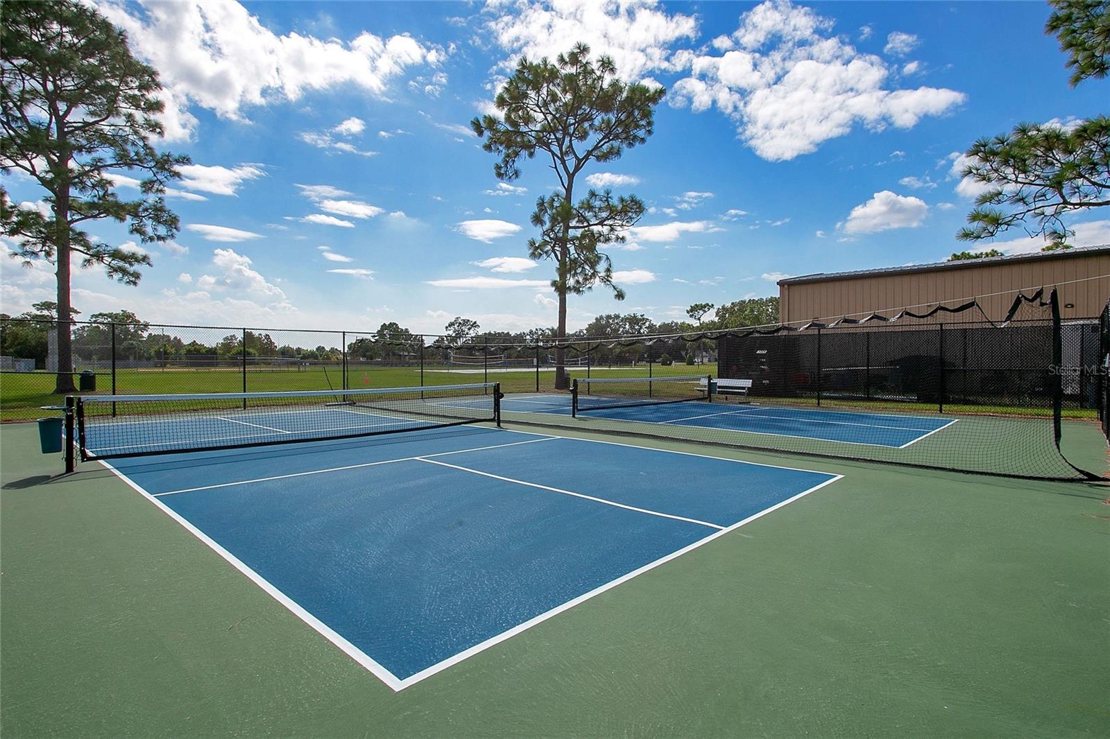 12105 HARKNESS COURT, ORLANDO, FL, 32828