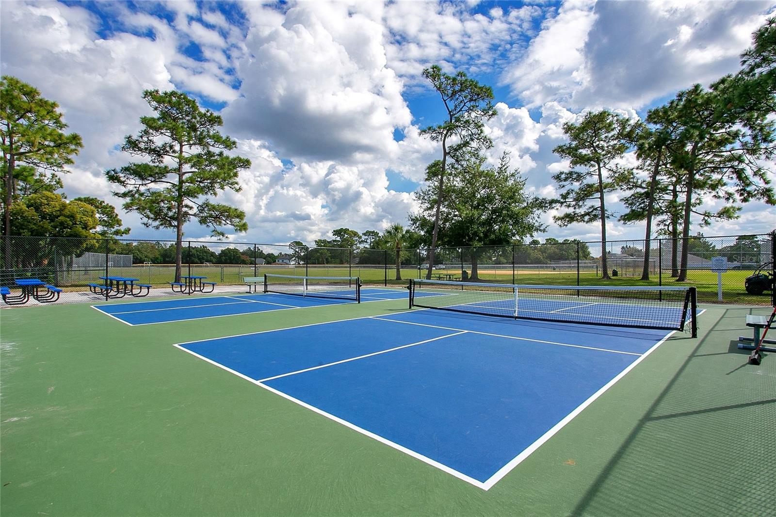 12105 HARKNESS COURT, ORLANDO, FL, 32828