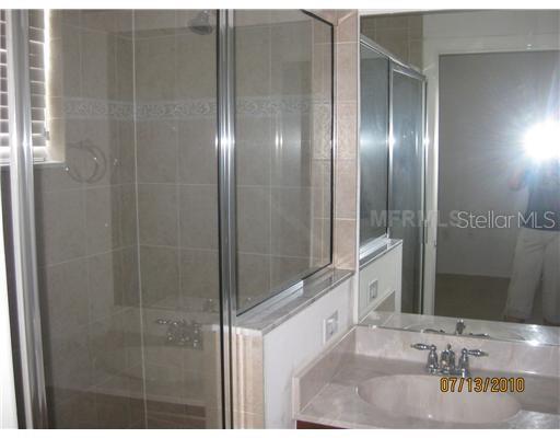 20468 NEEDLETREE DR, TAMPA, FL, 33647