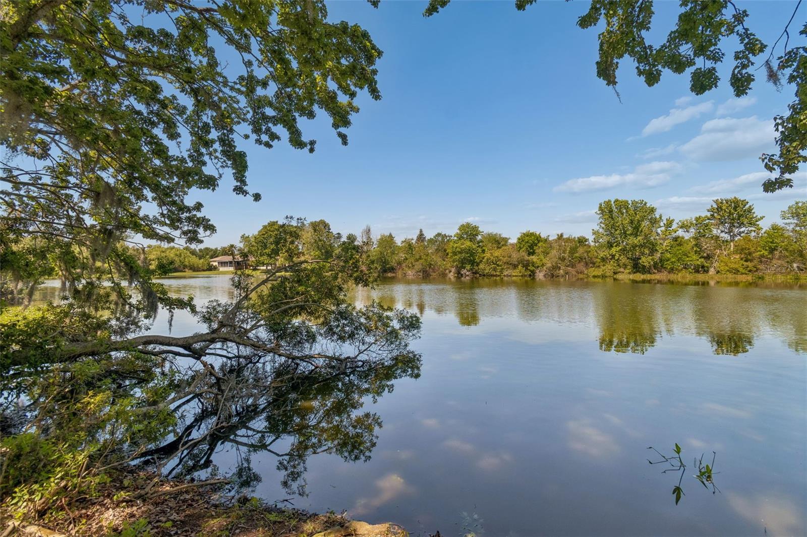 3541 RED ROCK DR, LAND O LAKES, FL, 34639