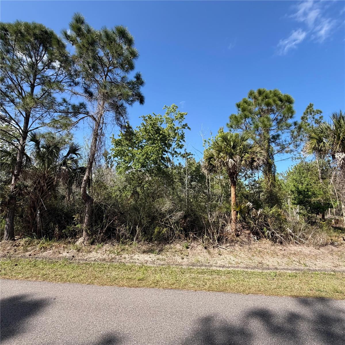 297 FRAZER ST SW, PALM BAY, FL, 32908