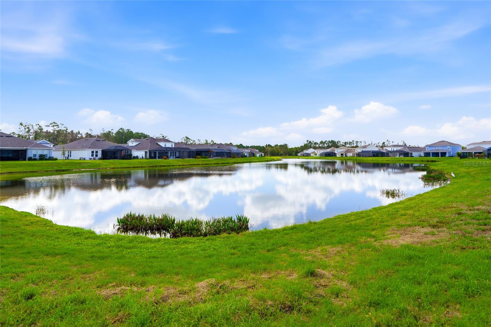 34068 CASTAWAY LOOP, WESLEY CHAPEL, FL, 33543