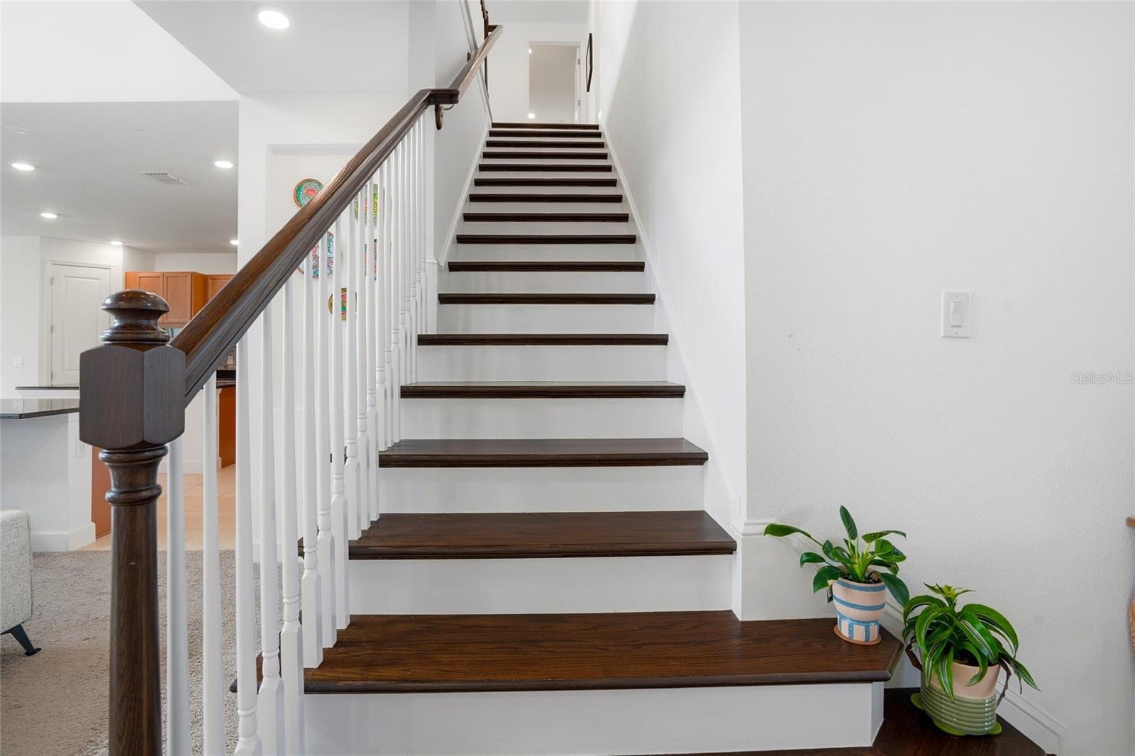 34068 CASTAWAY LOOP, WESLEY CHAPEL, FL, 33543