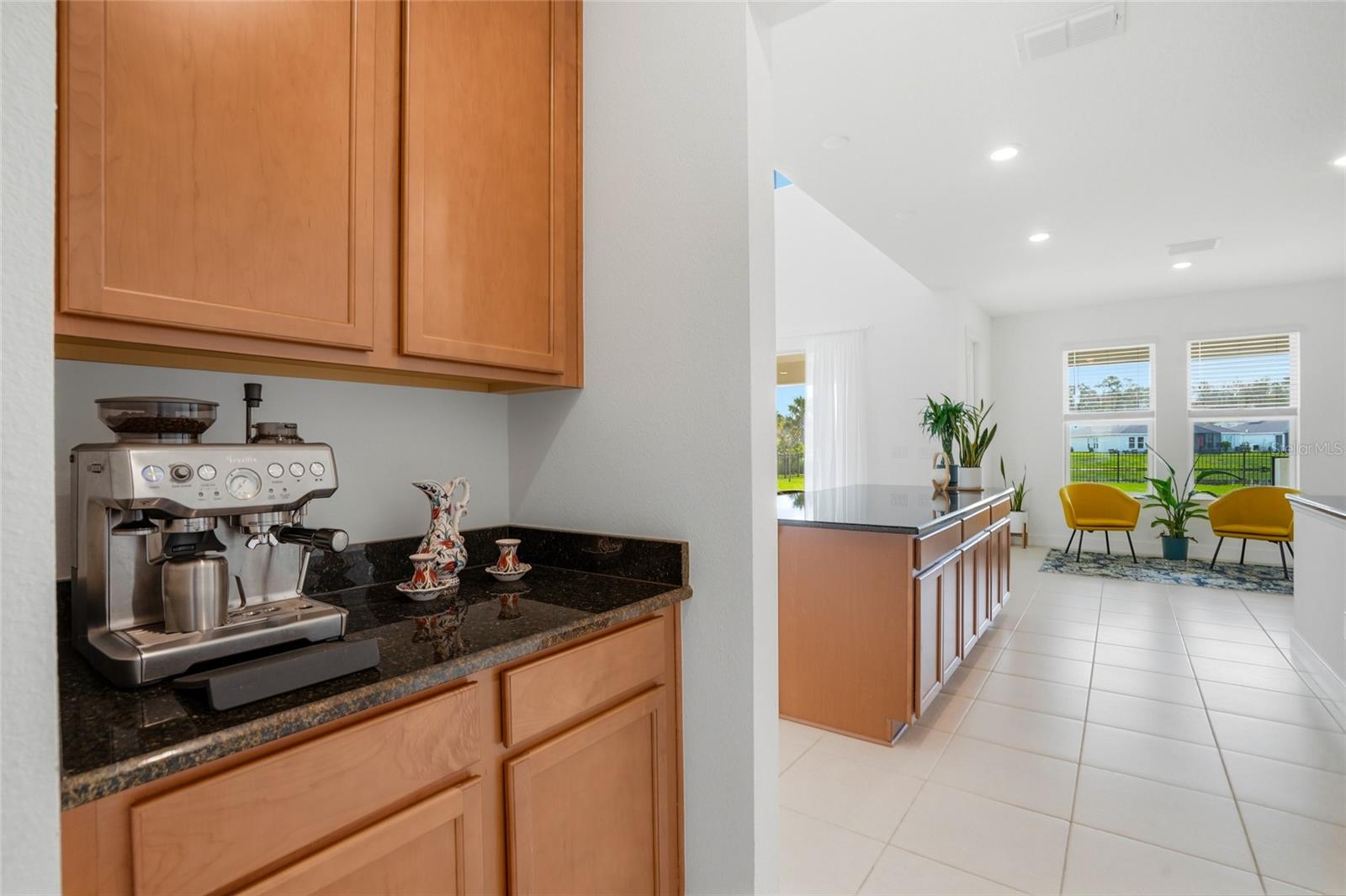 34068 CASTAWAY LOOP, WESLEY CHAPEL, FL, 33543