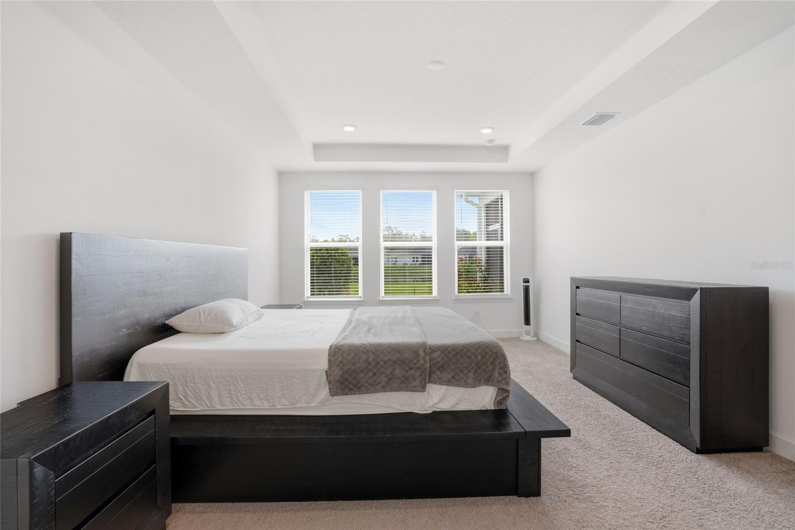 34068 CASTAWAY LOOP, WESLEY CHAPEL, FL, 33543