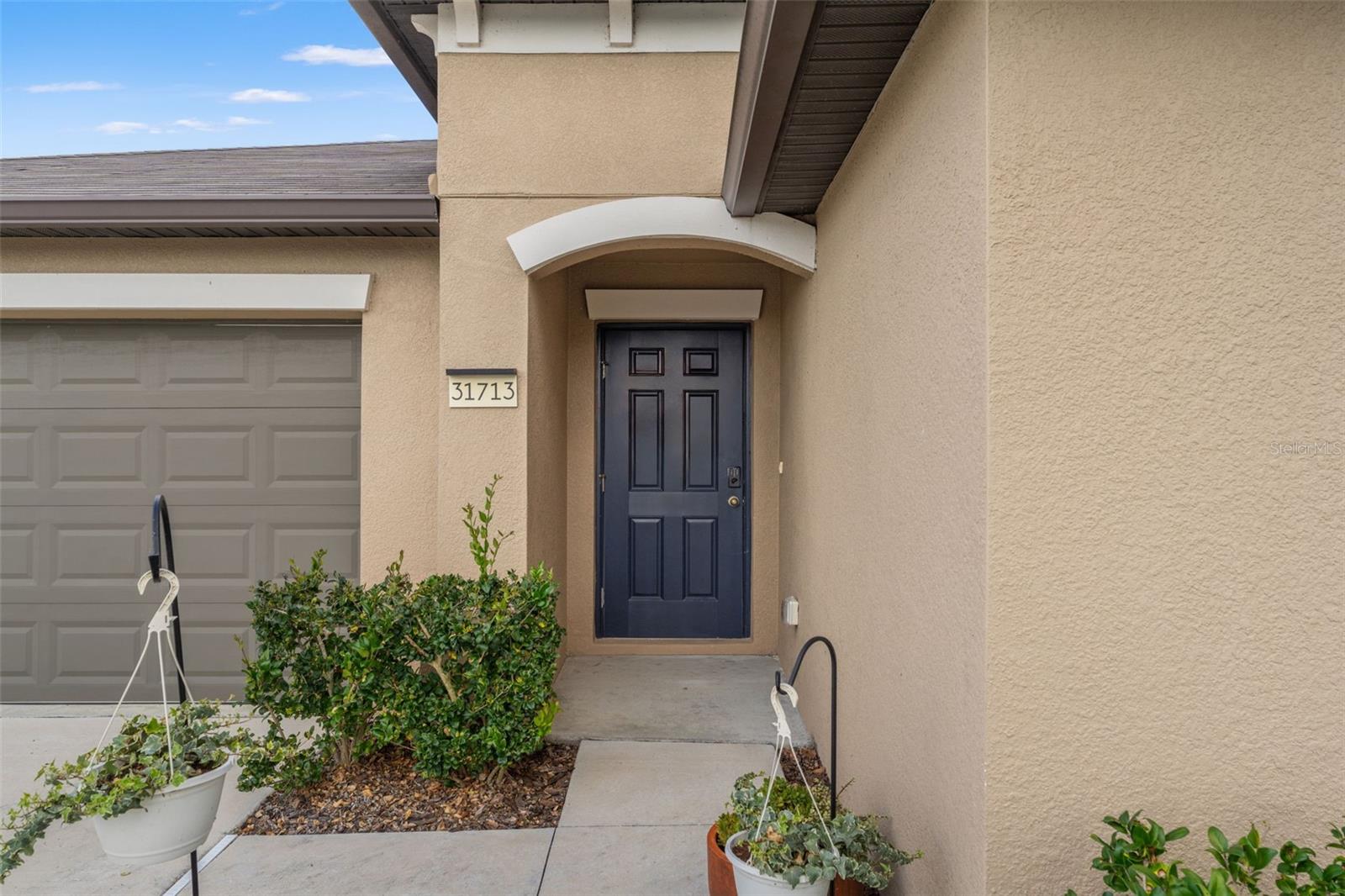 31713 SUN KETTLE LOOP, WESLEY CHAPEL, FL, 33545