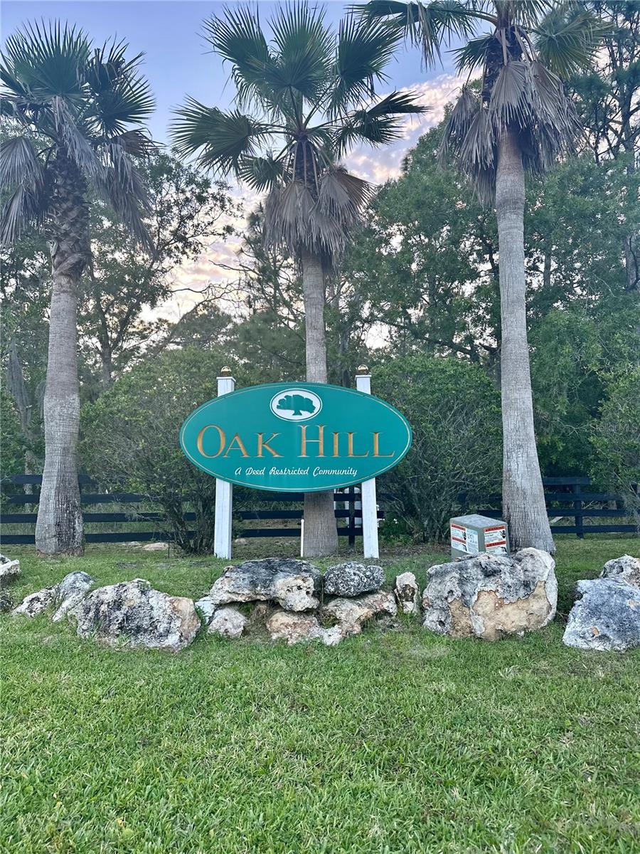TBD CR 243B, WILDWOOD, FL, 34785