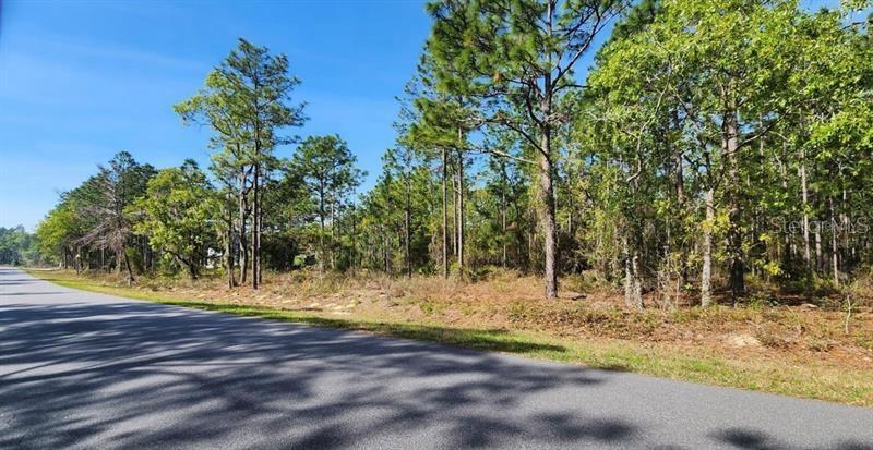 TBD CR 243B, WILDWOOD, FL, 34785