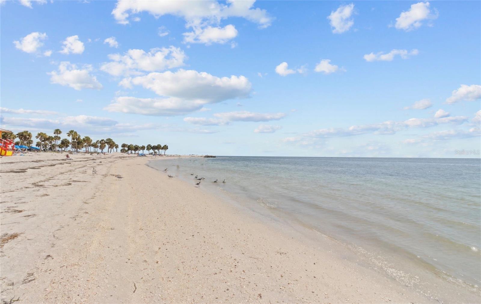 27 DOLPHIN DR, TREASURE ISLAND, FL, 33706