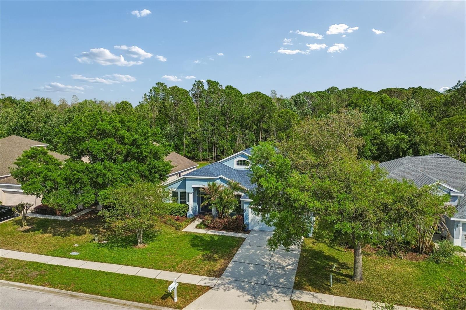 5214 VILLAGEBROOK DR, WESLEY CHAPEL, FL, 33544