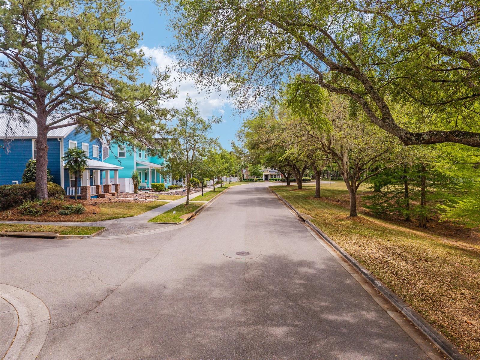 303 SW 129TH TER, NEWBERRY, FL, 32669