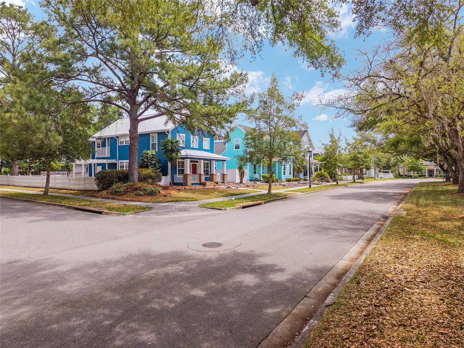 303 SW 129TH TER, NEWBERRY, FL, 32669