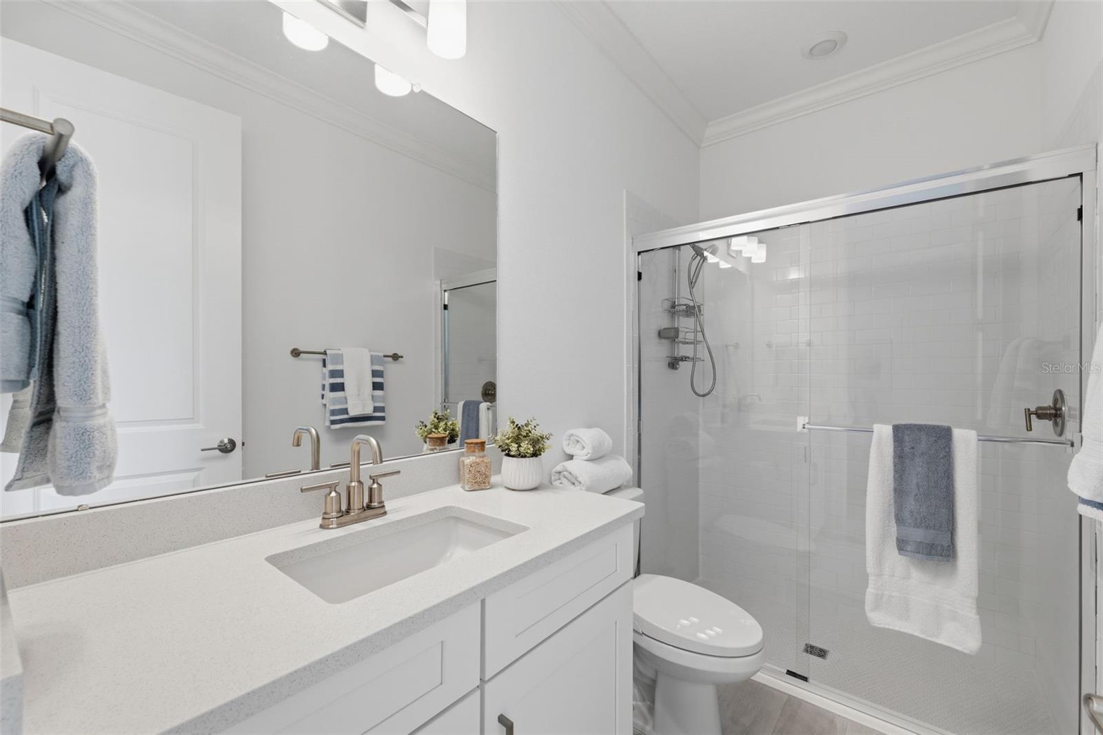 4533 ISONZO WAY, WESLEY CHAPEL, FL, 33543