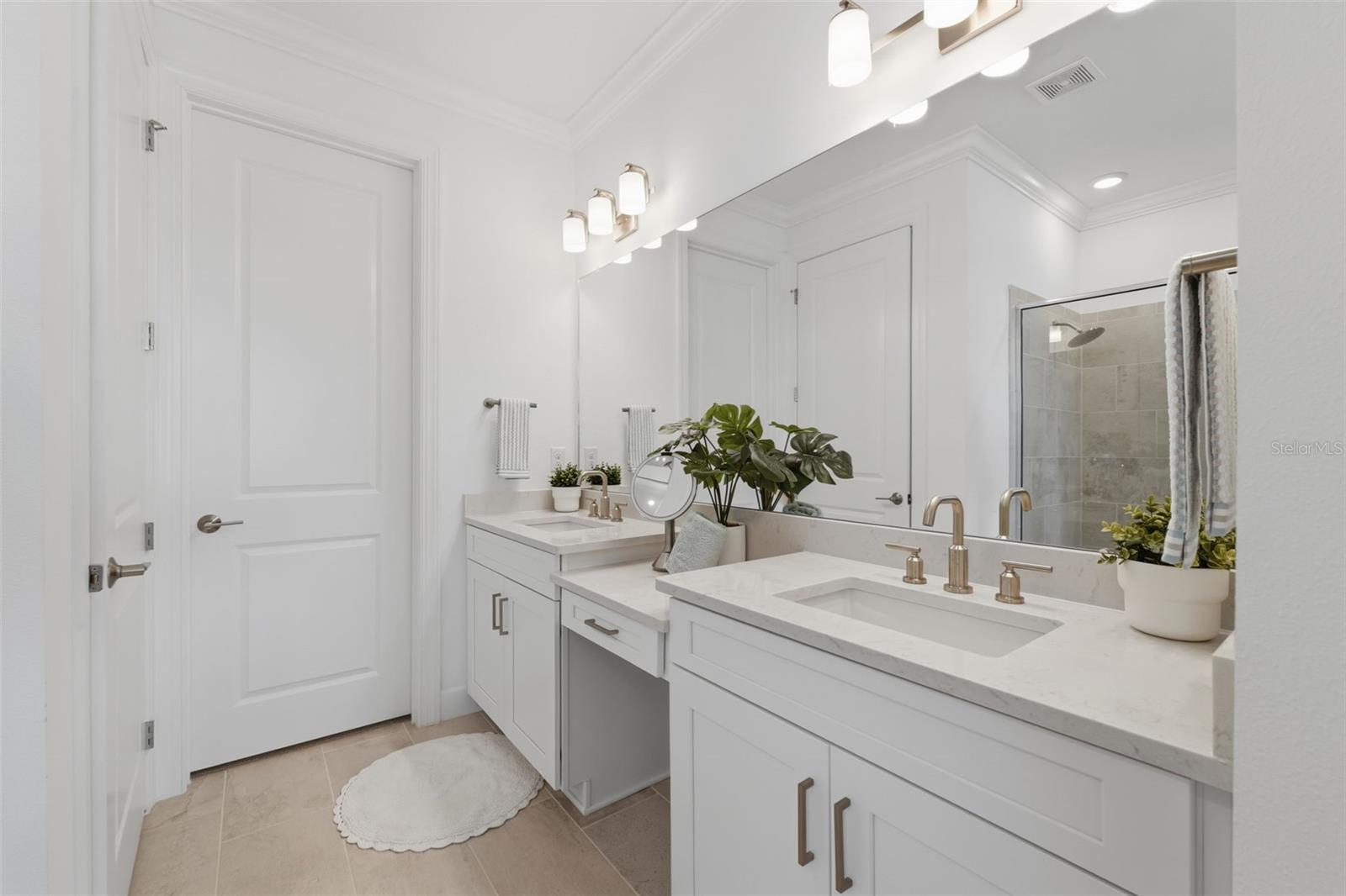 4533 ISONZO WAY, WESLEY CHAPEL, FL, 33543